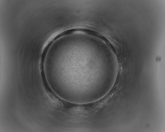 X0000091570244200708201151