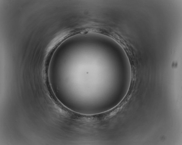 X0000091570245200708201151