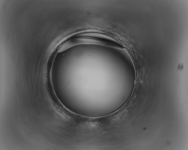 X0000091570247200708201151