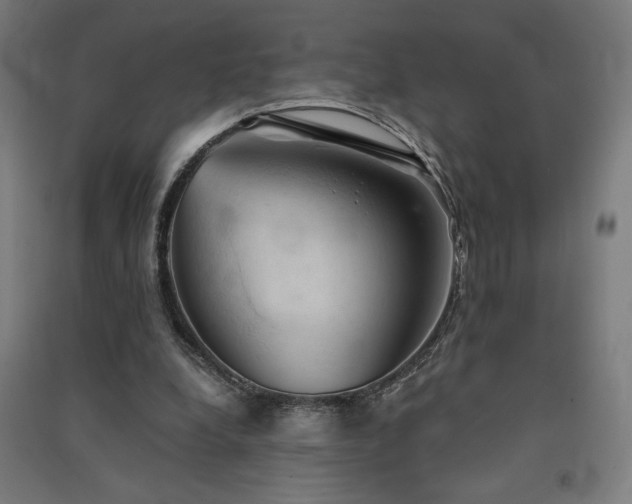 X0000091570248200708201151