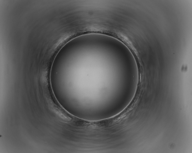 X0000091570249200708201152