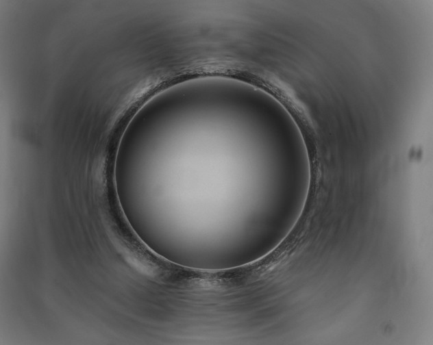 X0000091570250200708201152