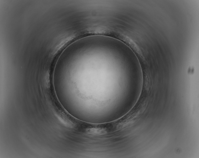 X0000091570251200708201152