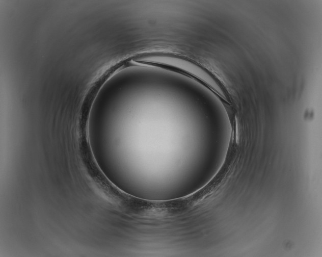 X0000091570252200708201152