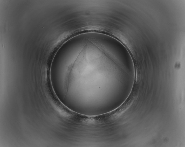X0000091570253200708201152