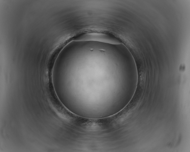 X0000091570254200708201152