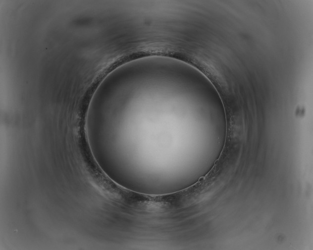 X0000091570255200708201152