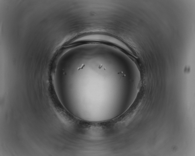 X0000091570256200708201152