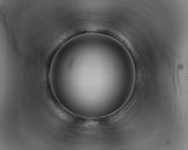 X0000091570257200708201152