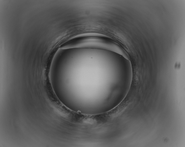 X0000091570258200708201152