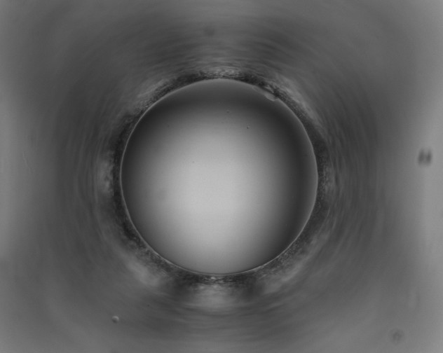 X0000091570259200708201152