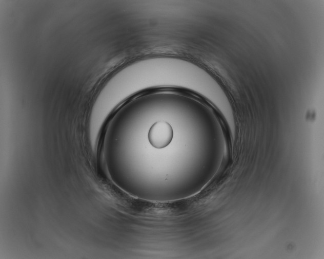 X0000091570260200708201152