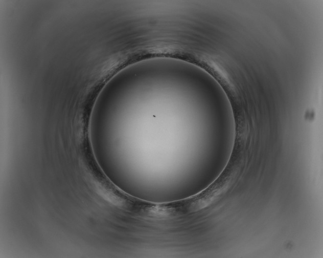 X0000091570261200708201152
