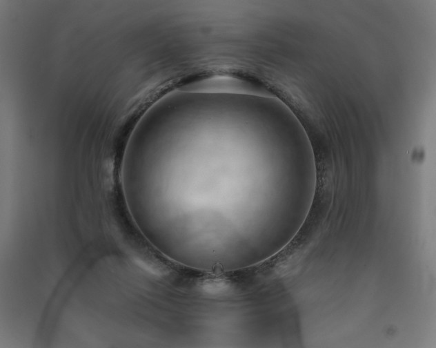 X0000091570262200708201152