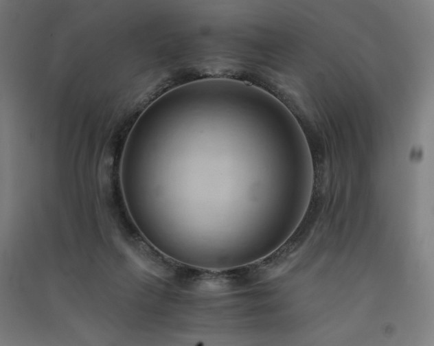X0000091570263200708201152