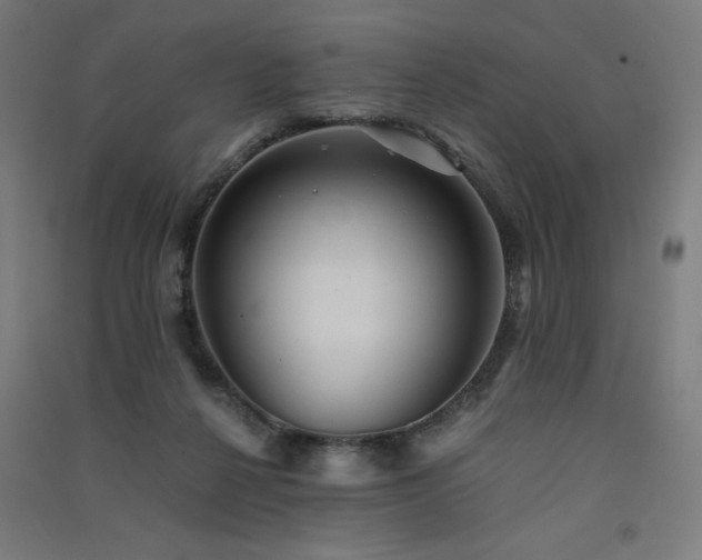X0000091570264200708201152