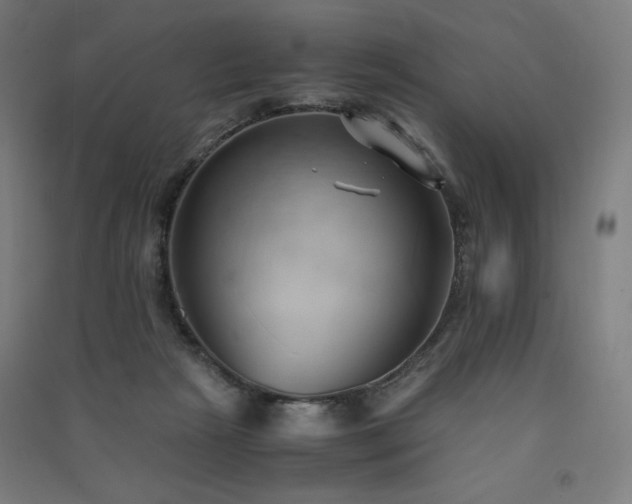 X0000091570265200708201152
