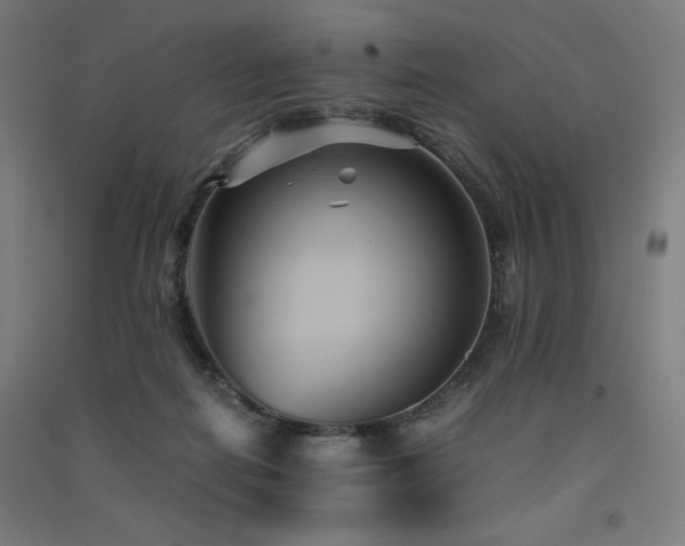 X0000091570266200708201152