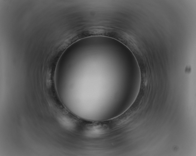 X0000091570267200708201152