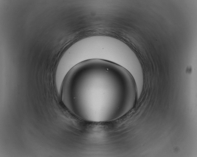 X0000091570268200708201152