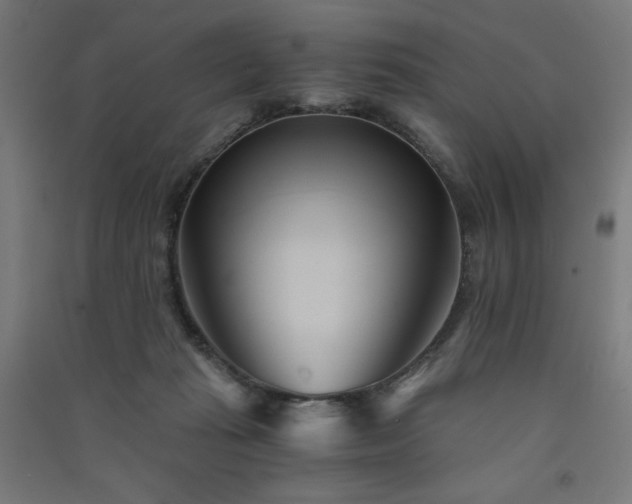 X0000091570269200708201152