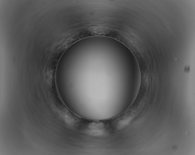 X0000091570271200708201152