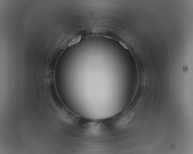 X0000091570272200708201152