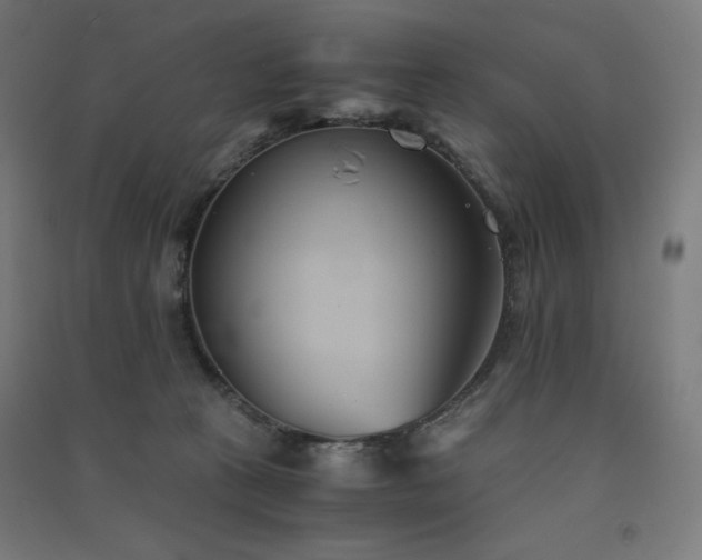 X0000091570273200708201152