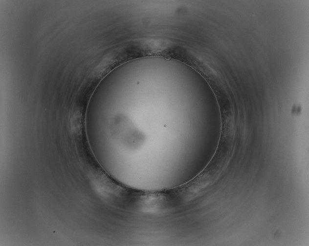 X0000091570274200708201152