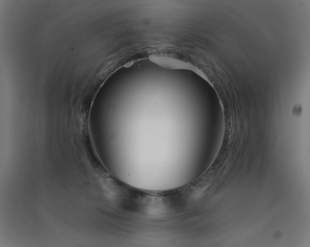 X0000091570276200708201152