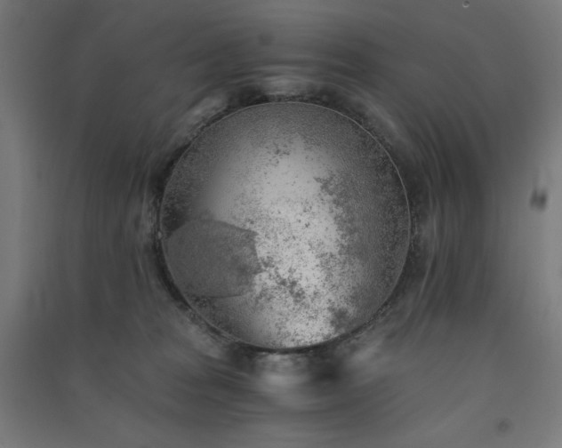 X0000091570277200708201152