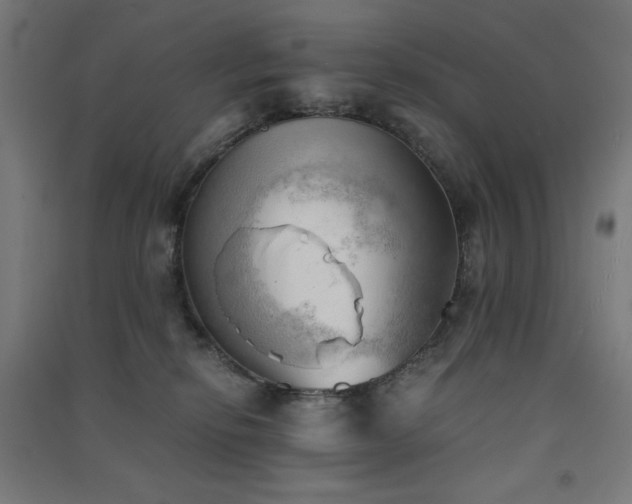 X0000091570278200708201152
