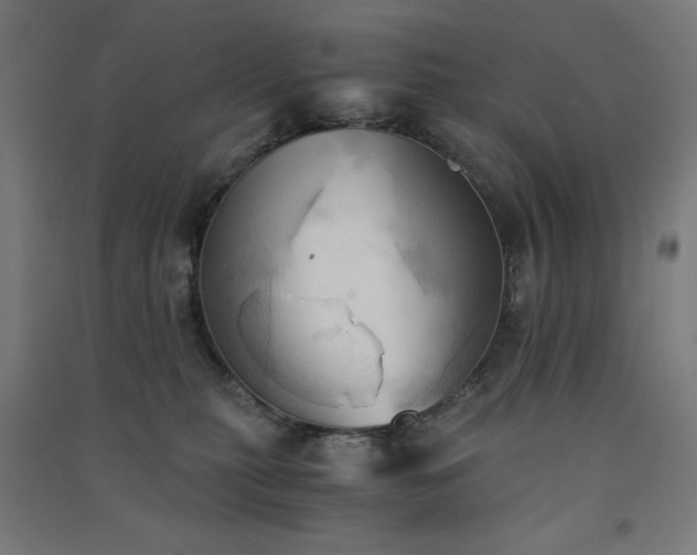X0000091570279200708201152