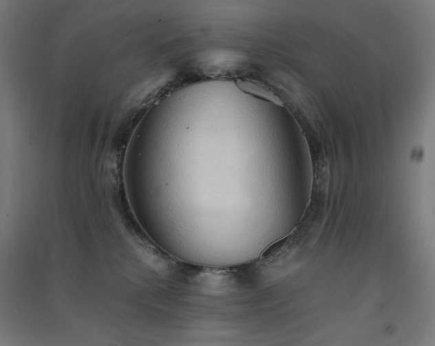 X0000091570280200708201152