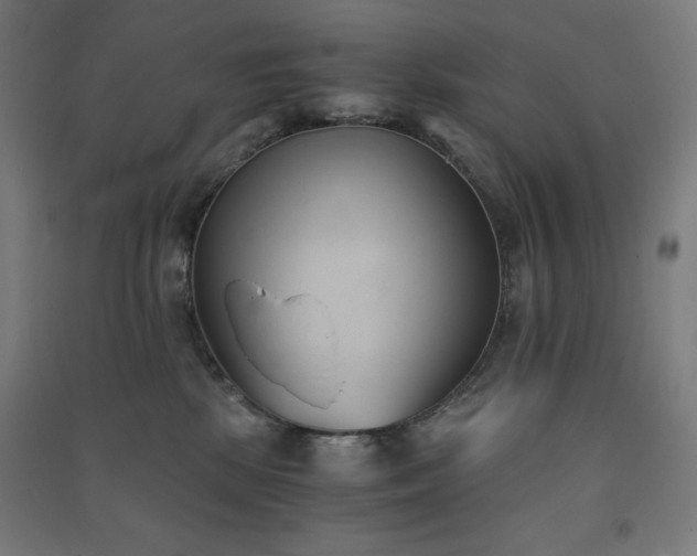 X0000091570281200708201152