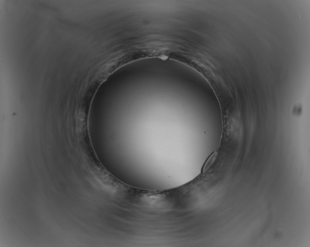 X0000091570283200708201152