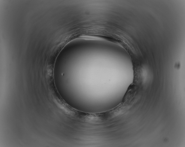 X0000091570284200708201152