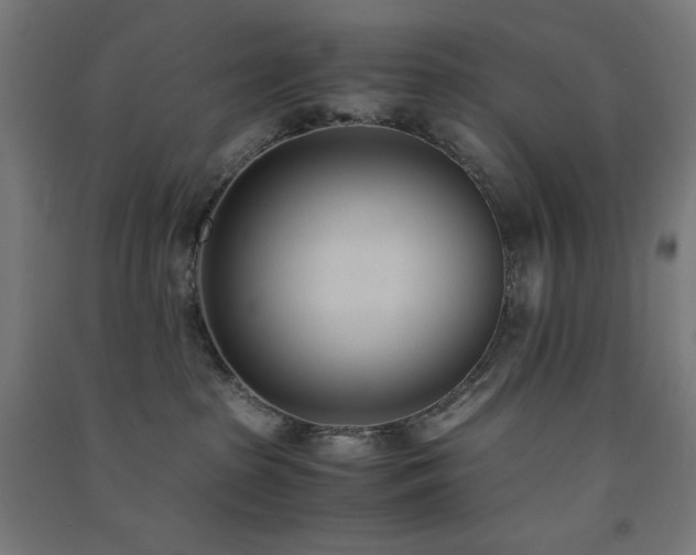 X0000091570285200708201152