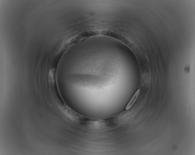 X0000091570286200708201152