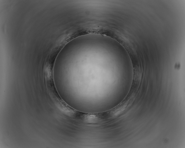 X0000091570287200708201152