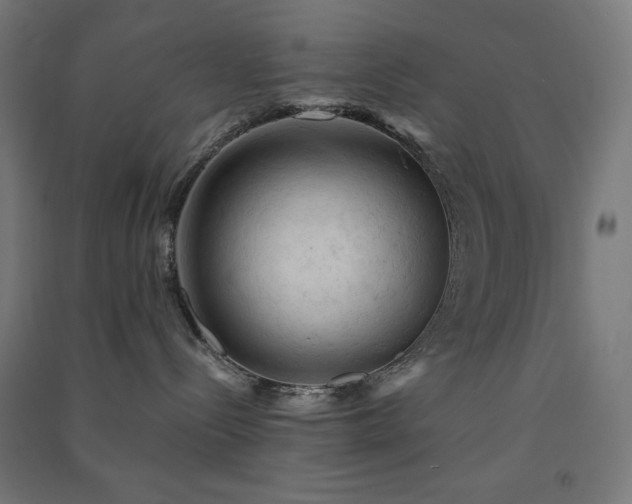 X0000091570288200708201152