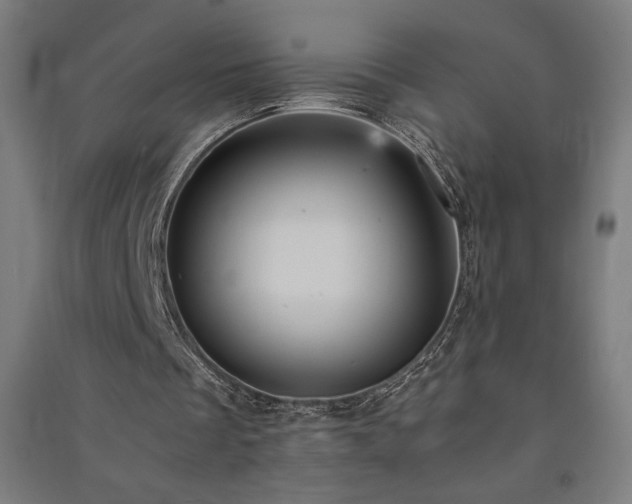 X0000091570289200708201151