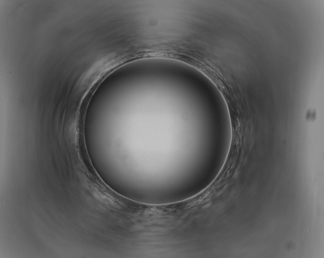 X0000091570290200708201151