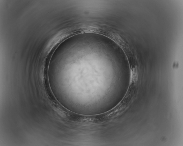 X0000091570291200708201151