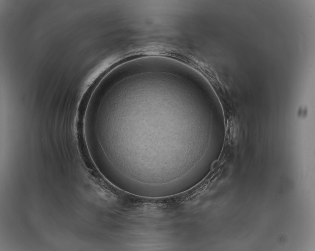 X0000091570292200708201151