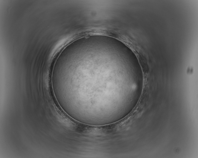 X0000091570293200708201151