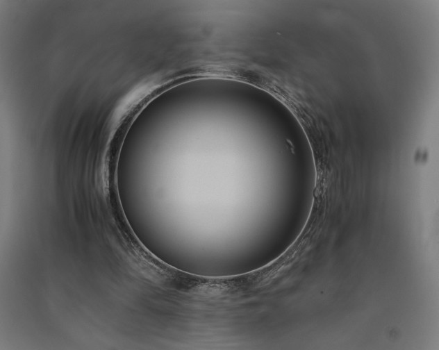 X0000091570294200708201151