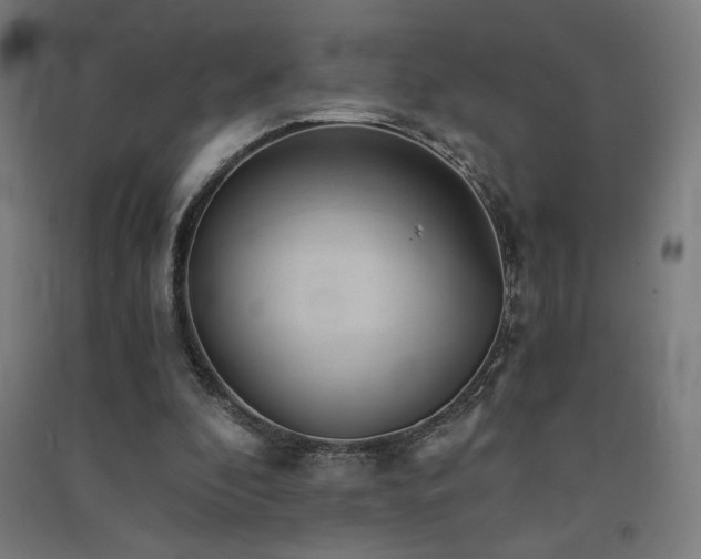 X0000091570296200708201151