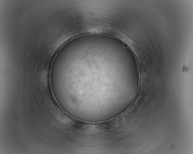 X0000091570297200708201151