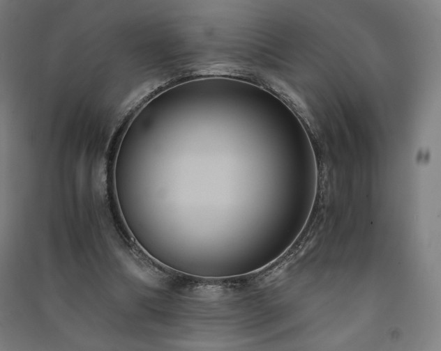 X0000091570298200708201151